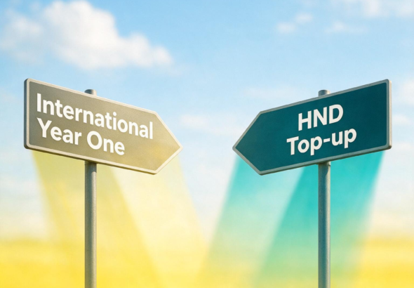 magnific_international-year-one-hn_1s1hj6Pr4r